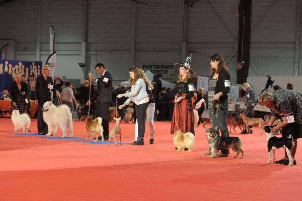 Des Gardiens Centaures - METZ - CACS - SPECIALE DE RACE